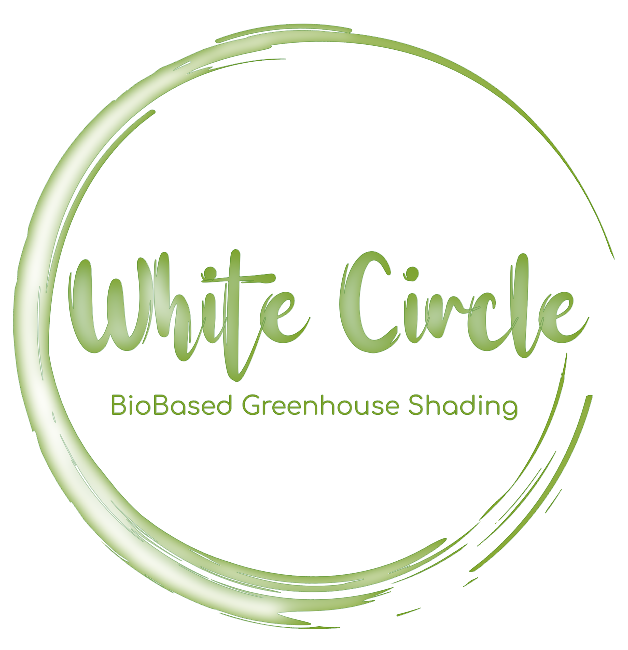 White Circle イメージ